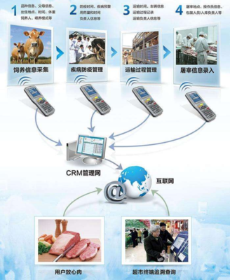 為何需要建設動物溯源信息化管理系統及信息技術咨詢服務的價值