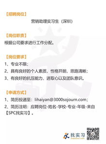 基金公司營銷助理與品牌策劃 市場營銷實習的雙重角色解析